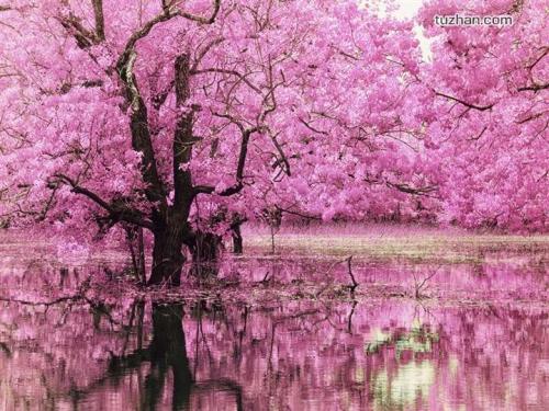 �٣��Һܲ����ˣ���ĺܲ�����