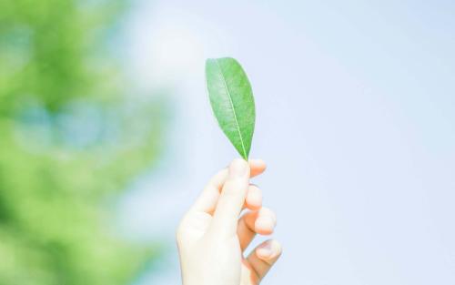 ����һƪ�ռǣ����ž���Ŀ��