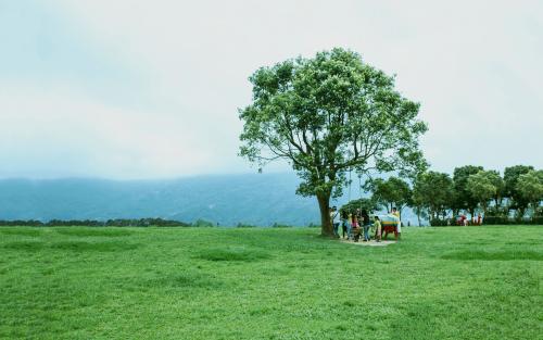 ���̫������̫��~~