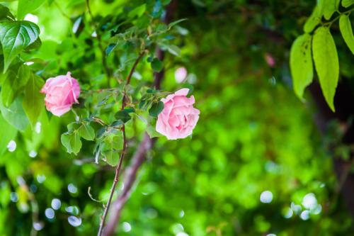 ������������