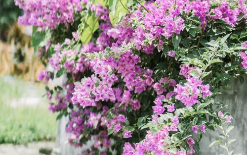 �Ѿ�������