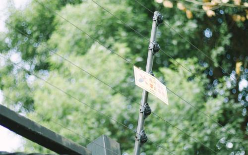 ��������ϰ����ôҲд������ҵ ����дд�ռ�