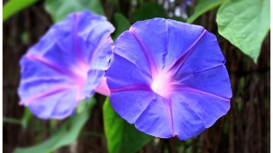 到底该不该信命?