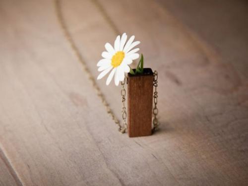 һ�����ֿ������