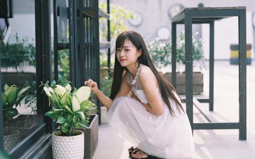 ��¼�������̱�ʽ������