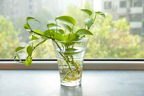 ����Ӧ����Χ��������