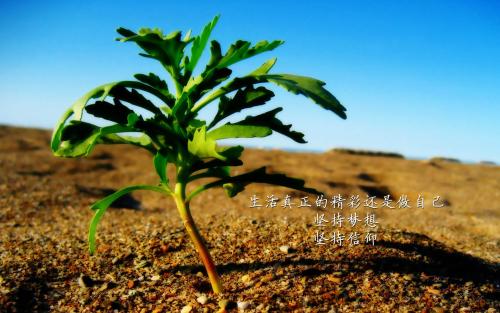 ����Ӧ����Χ��������