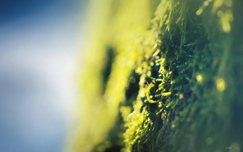 ����Ӧ����Χ��������