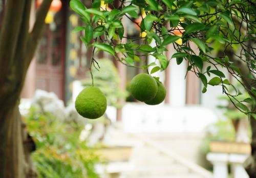 ��ȥѧϰ�����ջ����������Ƕ���Ҳ������