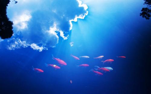 һֱ�ڴ��ſ��Լ�����