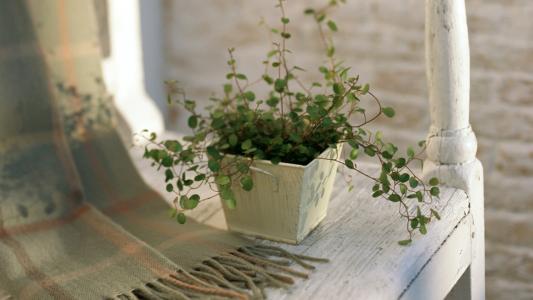 ��ʮ��Ĺ�������������