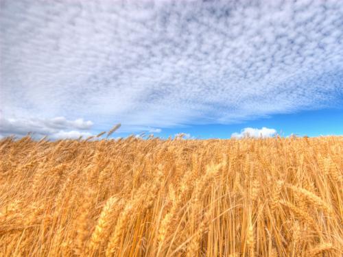 æ��͵�в����ռ�