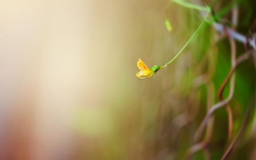 �����Լ�����ȥ����Լ��Ļ�