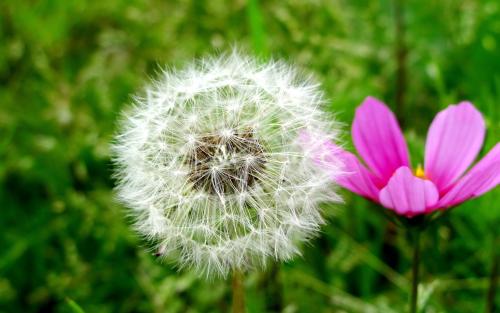 �����Լ�����ȥ����Լ��Ļ�