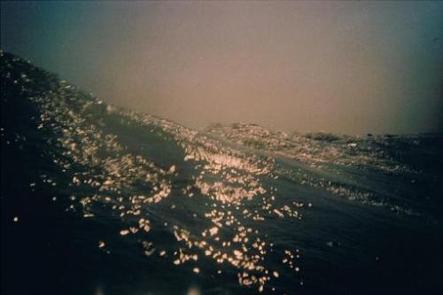 �����Լ����붡���ˣ���ϧ�Ҳ�����˪��