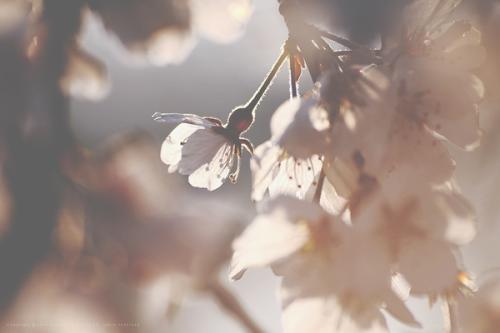 ����c�ˆ᣿