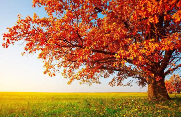 �����ĺܴ����Һܲ�����