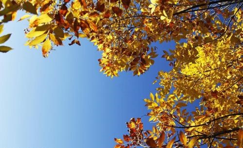 打开视频听见腿姐的声音才把自己拉回现实