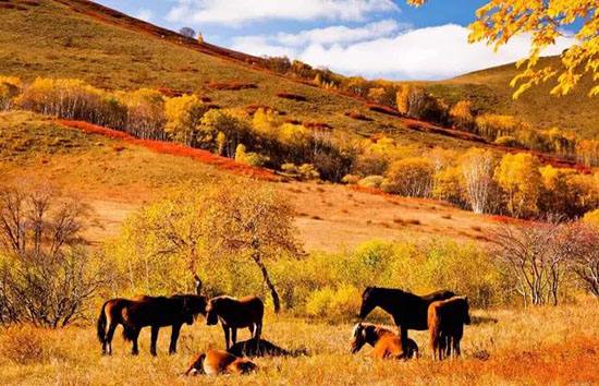 ����������������С����Ʋ����һ��������ƶ���