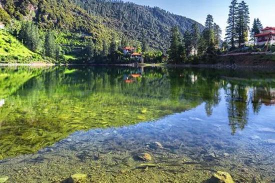 ��˾��������47�֡�����