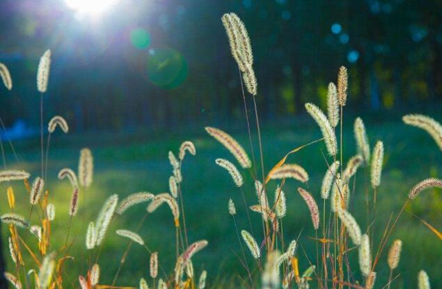 �����ڻ������Ǹտ�ʼ��ʶ�Ĺ���