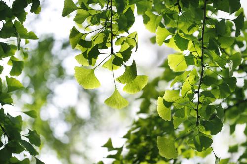 �þ�û�������д�ռ��ˣ���¼��ֻ������