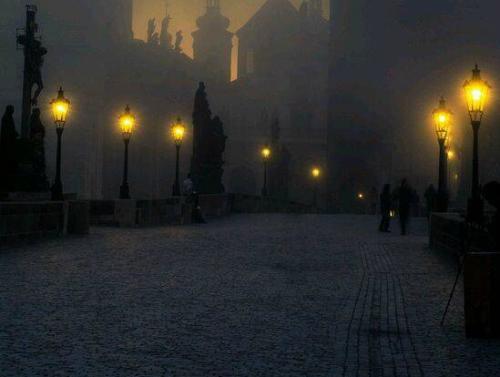 ��¼һ��������������