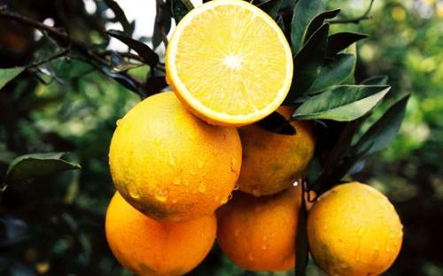 �W���I��5����ϱ���