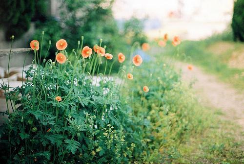 �Ų����Լ� ����������Ľ������