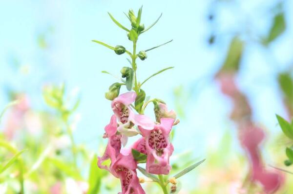 ����ʲô��û����ȴ����