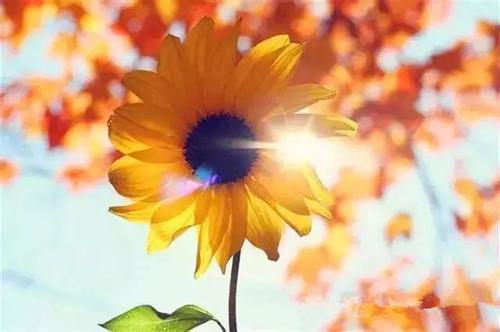 ���ܾ����ҳ����˾�û�˰����� ����Ҳһֱûѧ��ȥ�����˰�