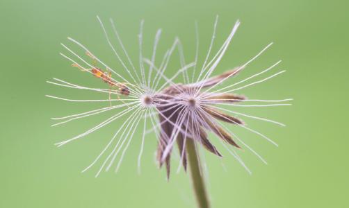 终于做了一锅很销魂的拌面酱