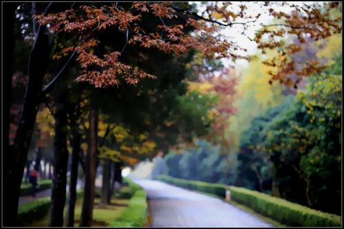 �����ռ�д�����ˣ���˼һ���Լ����Ժ�Ҫ����ܽ�