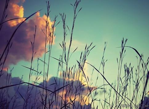 ����ڿ������ܹ�ϵ����������һ���ǻ�����ʧ��