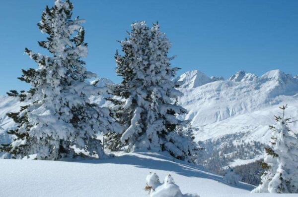 ����һ�������˺ô��ѩ