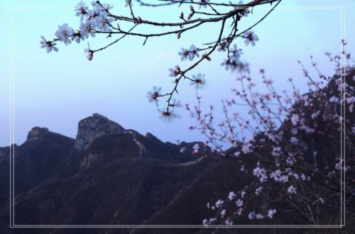 每天慵懒的生活让我丧失了很多斗志吧