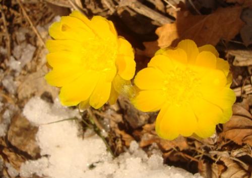 �ҿ��˺ܶ��˵������ռǣ�������٣�������ӵ�ѹ��