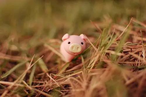 受不了这个经理