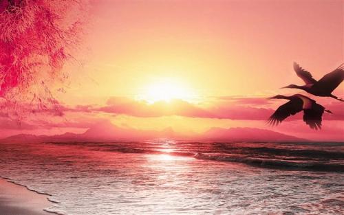 �㲻֪����Ϊʲô���������㣬������Ϊʲô��֪��