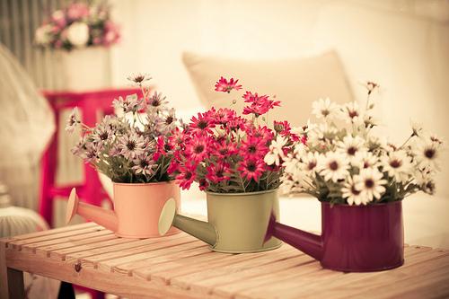 �о����ܻ����Լ�����Ž�����