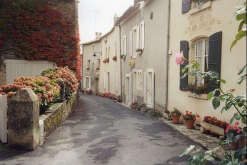 �о�æµµæ�ò�֪������ʦ������������