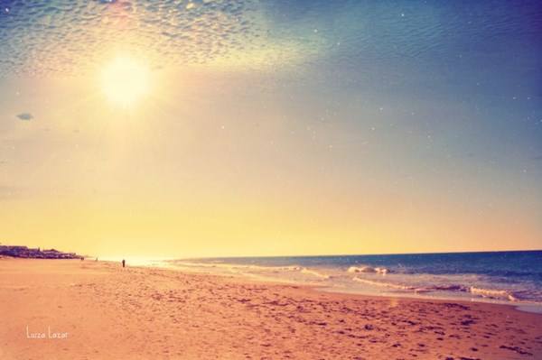 和小伙伴短暂的旅途结束了,依依不舍告别了她们