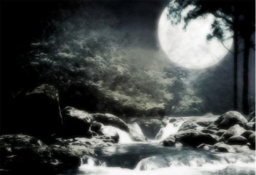 我再也不是那个可爱天真的少女了