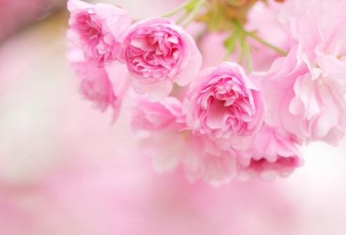 错过了你最主动的时期,是不是我还是太笨了