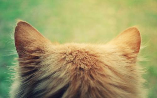 ����������Ϸ�ˣ��ⲻ��������ǰû��