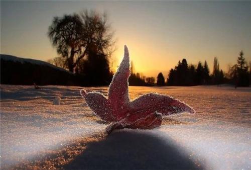 �������̫���ѣ�Ҳ��֪������ô���£�