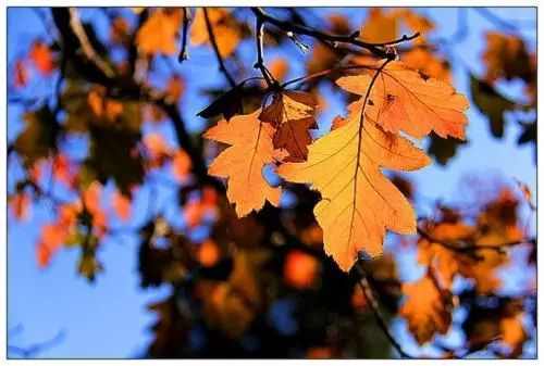 一个女人真正的成熟是学会狠心,学会放弃一切不值得的东西