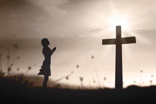 �Ҳ¿϶�����̫æ�ˣ�æ������������