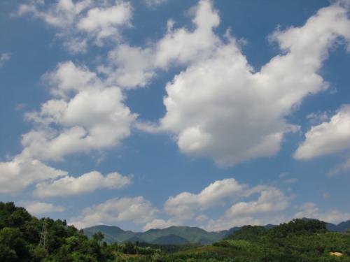 2019�꼴���������ø��Լ��мƻ���