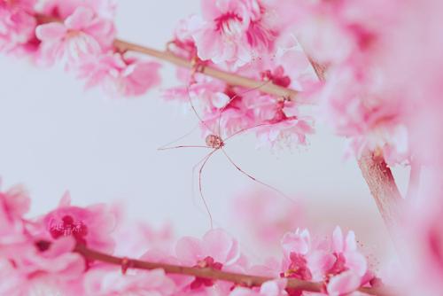 ˵һ˵��Щ���췢������ʵ��Сȷ��